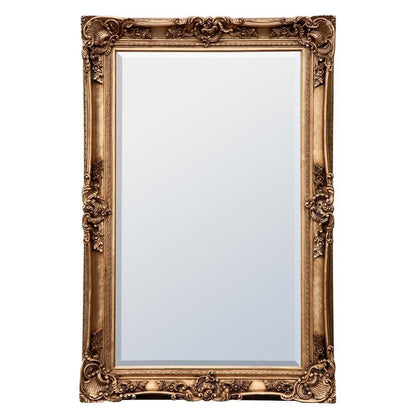 Decorative Gold Floor Standing Bevelled Mirror TS9101-GO-122-182